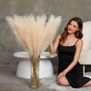 Capim dos Pampas Artificial 3 Peças 70 cm Casa Farfelle  304 [Flores]  Casa Farfelle