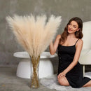 Capim dos Pampas Artificial  Flores Artificiais  Casa Farfelle