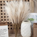 Capim dos Pampas Artificial  304 [Flores]  Casa Farfelle
