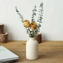 Conjunto de 3 Vasos Decorativos Terrano  465  Casa Farfelle