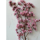 Flor de Algodão Artificial para Decoração  Flores Artificiais  Casa Farfelle