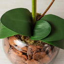 Folha de Orquídea Artificial 282 [Flores]  Casa Farfelle