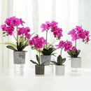 Folha de Orquídea Artificial 282 [Flores]  Casa Farfelle