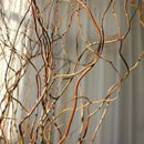 Galhos Secos para Arranjos de Flores Casa Farfelle  281 [Flores]  Casa Farfelle