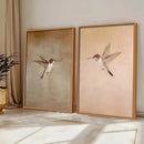 Kit 2 Quadros Decorativos Beija-Flor Moldura Caixa Alta Grande Casa Farfelle    Casa Farfelle