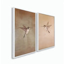 Kit 2 Quadros Decorativos Beija-Flor Moldura Caixa Alta Grande Casa Farfelle    Casa Farfelle