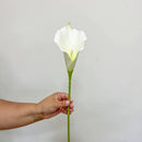Lírio da Calla Artificial Grande para Decoração 4 Unidades 300 [Flores]  Casa Farfelle