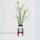 Luminária LED Planta Artificial - SwanLight Casa Farfelle  36 (Iluminação)  Casa Farfelle