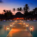 Luminária LED Solar Estilo Tocha para Jardim - SwanLight Casa Farfelle  24 (Iluminação)  Casa Farfelle