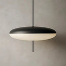 Luminária Pendente Disco Oval Minimalista Zelar - Casa & Jardim  Luminária de Teto  Casa Farfelle