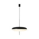 Luminária Pendente Disco Oval Minimalista Zelar - Casa & Jardim  Luminária de Teto  Casa Farfelle
