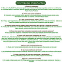 Molde de Piso para Jardins e Calçadas FlexDecor Casa Farfelle  44  Casa Farfelle