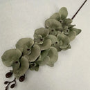 Orquídea Borboleta Artificial para Decoração Cores Sóbrias Casa Farfelle  286 [Flores]  Casa Farfelle