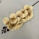 Orquídea Borboleta Artificial para Decoração Cores Sóbrias Casa Farfelle  286 [Flores]  Casa Farfelle