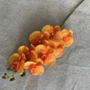 Orquídea Borboleta Artificial para Decoração em Cores Vivas Casa Farfelle  290 [Flores]  Casa Farfelle