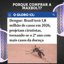 Raquete Mata-Mosquito - Com Ions de Atração Casa Farfelle  139  Casa Farfelle