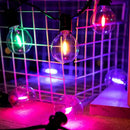 Varal de Luzes Coloridas - Ilumine o seu ambiente  Iluminação  Casa Farfelle