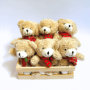 Box 6x Mini Ursos - Casa Farfelle