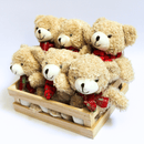 Box 6x Mini Ursos - Casa Farfelle