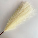 Capim dos Pampas Pluma Artificial para Decoração 3 Peças - Casa Farfelle