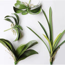 Folha de Orquídea Artificial - Casa Farfelle