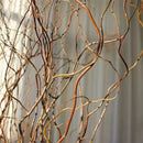 Galhos Secos para Arranjos de Flores - Casa Farfelle