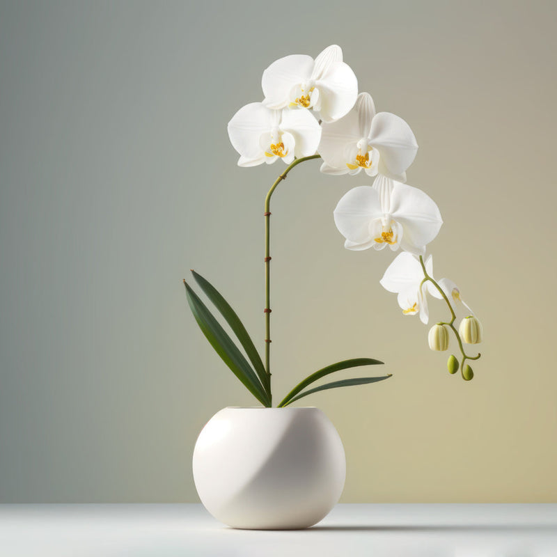 Orquídea Borboleta Artificial para Decoração - Casa Farfelle
