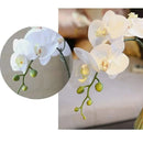 Orquídea Borboleta Artificial para Decoração - Casa Farfelle