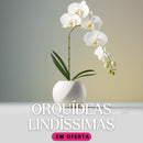 Orquídea Borboleta Artificial para Decoração - Casa Farfelle