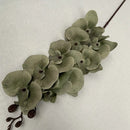 Orquídea Borboleta Artificial para Decoração Cores Sóbrias - Casa Farfelle