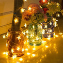 Pisca Pisca Estrela LED 20 Luzes 4 Metros para Decoração de Natal - Casa Farfelle