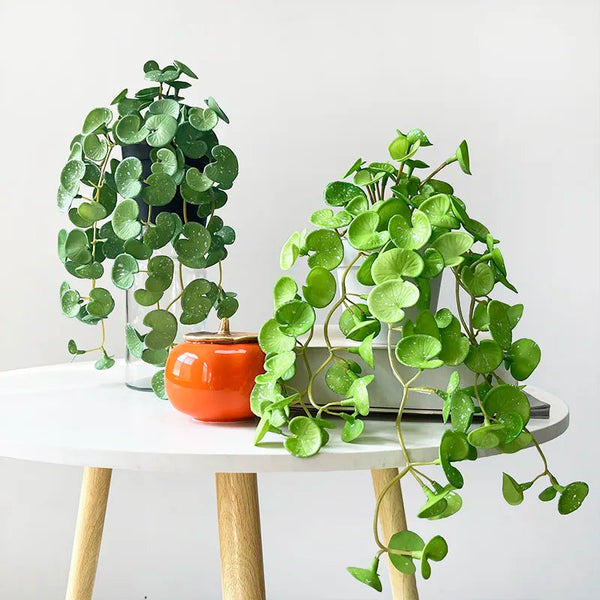 Plantas Verdes Artificiais para Decoração Hydrocotyle vulgaris - Casa Farfelle