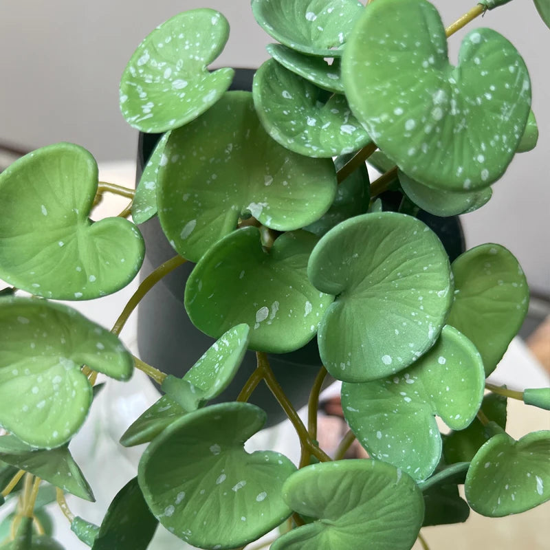 Plantas Verdes Artificiais para Decoração Hydrocotyle vulgaris - Casa Farfelle