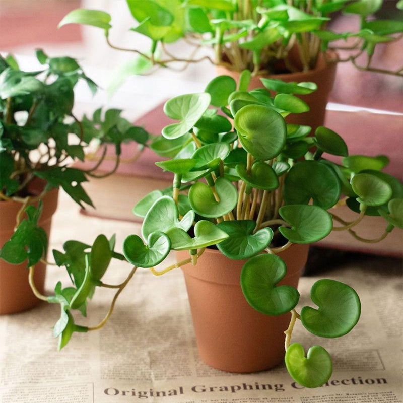 Plantas Verdes Artificiais para Decoração Hydrocotyle vulgaris - Casa Farfelle