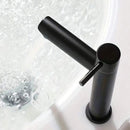 Torneira de Aço Inoxidável para Lavatório de Banheiro - Casa Farfelle